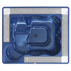 Спа бассейн Jacuzzi Virginia Professional